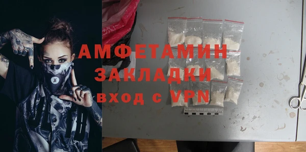 apvp Ельня