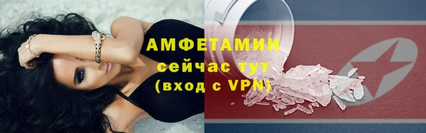 прущие грибы Гусиноозёрск