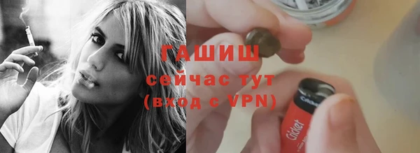 apvp Ельня