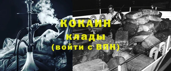 МДПВ Дмитриев