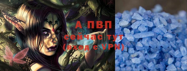 МДПВ Дмитриев