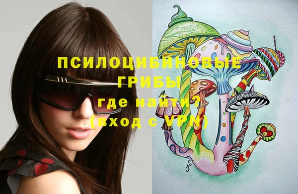 мдма Елизово