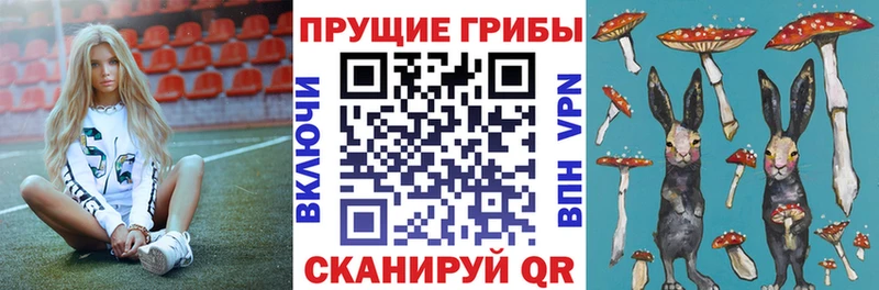 Псилоцибиновые грибы мицелий  Бодайбо 